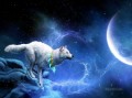 lobo y luna fantasía